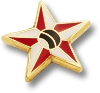 Metal Club Badge - Small Star Bowler